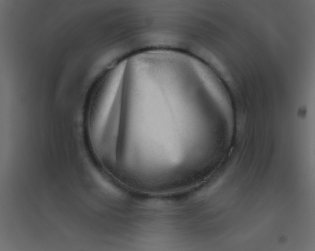 X0000094960629200712131646