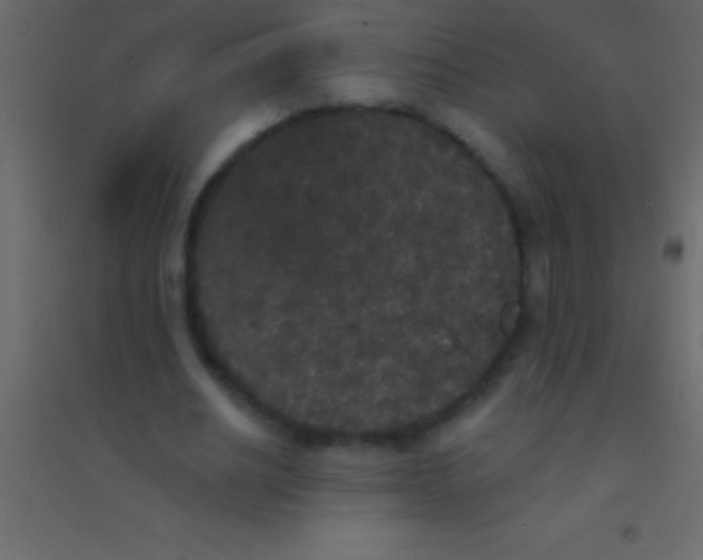 X0000094960630200712131646