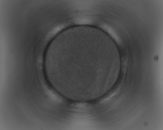 X0000094960631200712131646