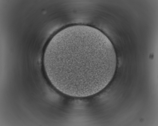 X0000094960632200712131646