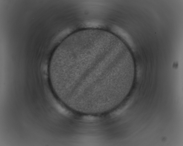 X0000094960633200712131646