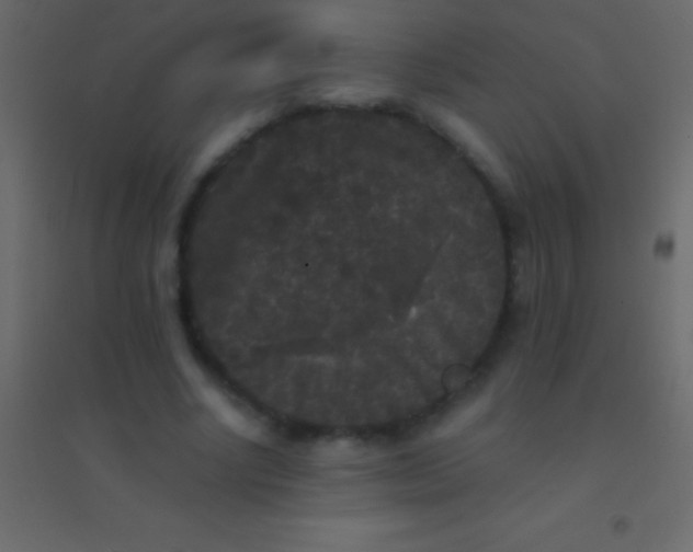 X0000094960634200712131646