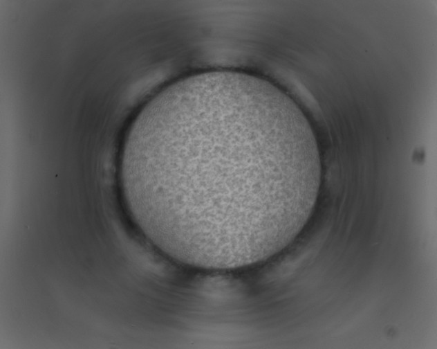 X0000094960635200712131646