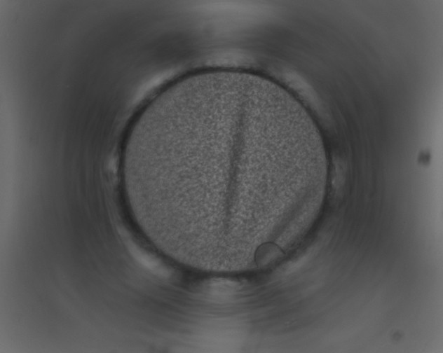 X0000094960636200712131646