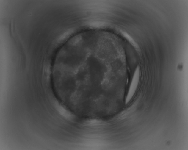 X0000094960637200712131646