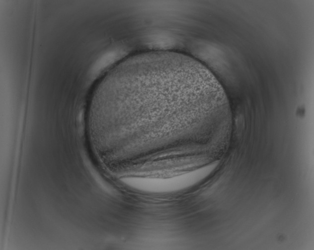 X0000094960638200712131646