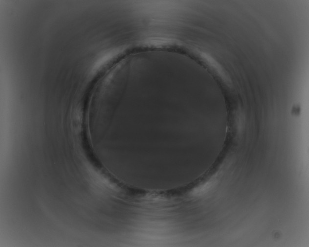 X0000094960640200712131646