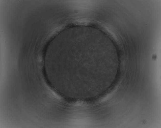 X0000094960641200712131646