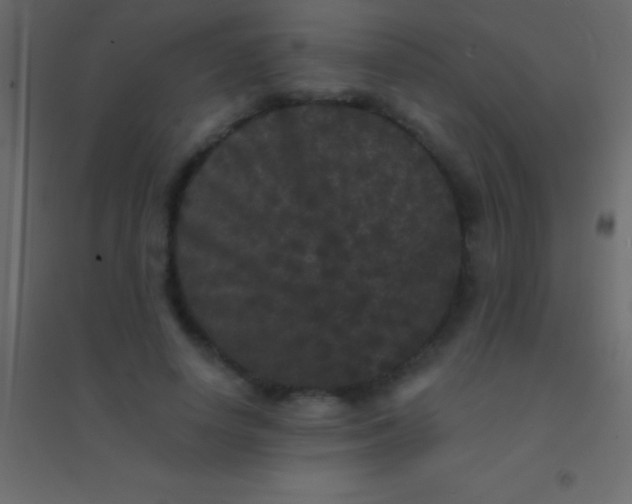 X0000094960642200712131646