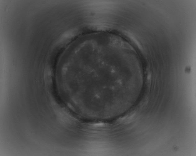 X0000094960643200712131646