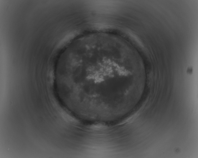 X0000094960644200712131646