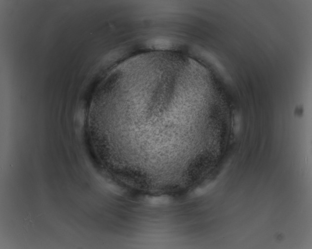 X0000094960645200712131646