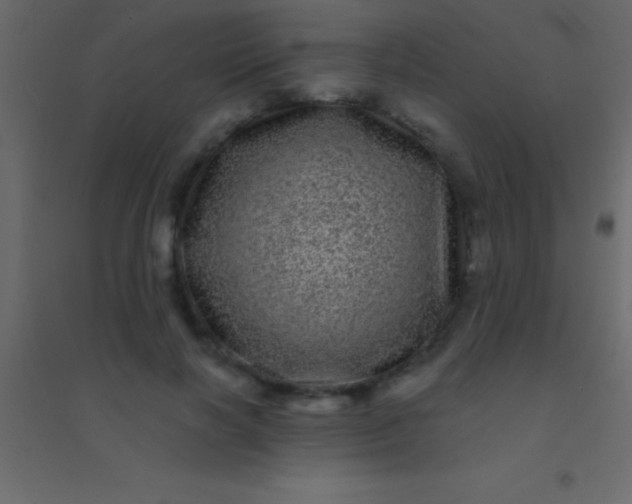 X0000094960646200712131646