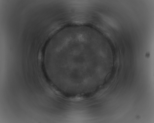 X0000094960647200712131646