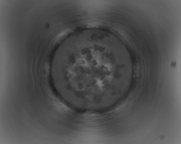 X0000094960648200712131646