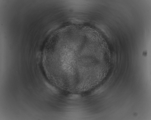 X0000094960649200712131646