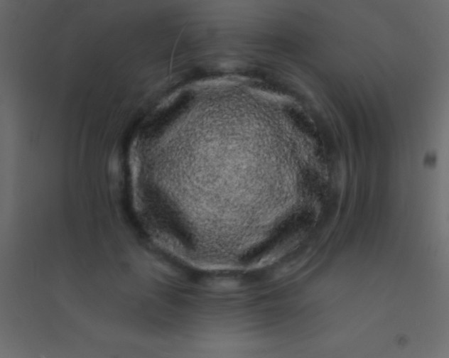 X0000094960651200712131646