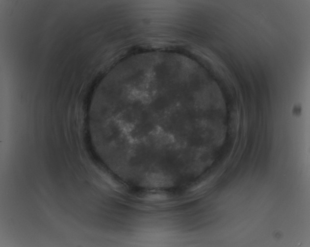 X0000094960653200712131646