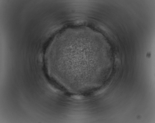 X0000094960654200712131646