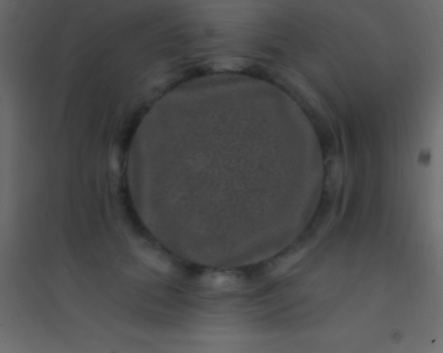 X0000094960655200712131646