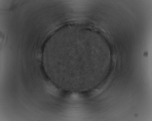 X0000094960657200712131646