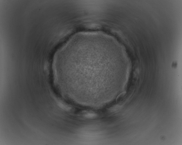 X0000094960658200712131646