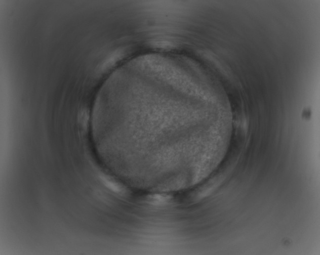 X0000094960660200712131646