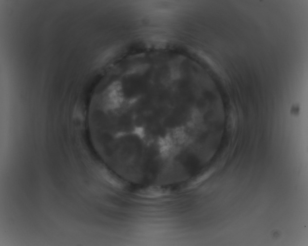 X0000094960661200712131646