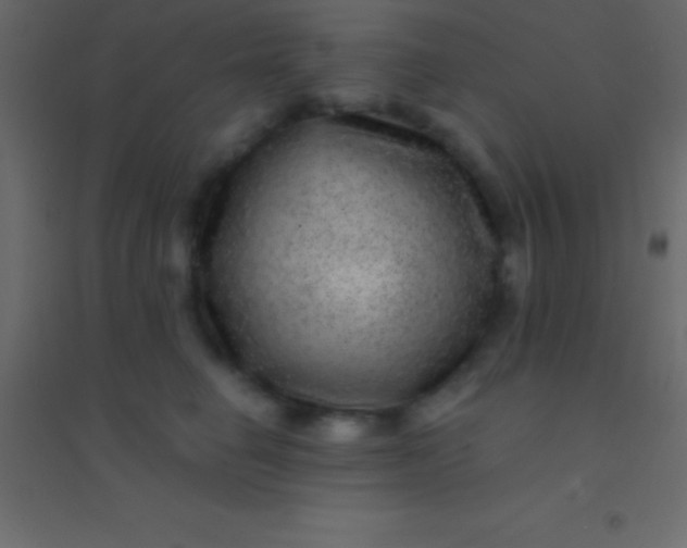 X0000094960662200712131646