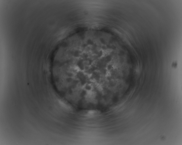 X0000094960663200712131646