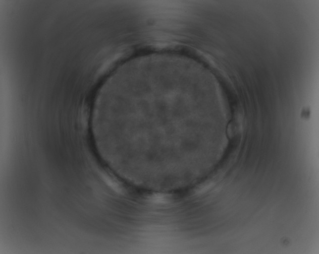 X0000094960664200712131646