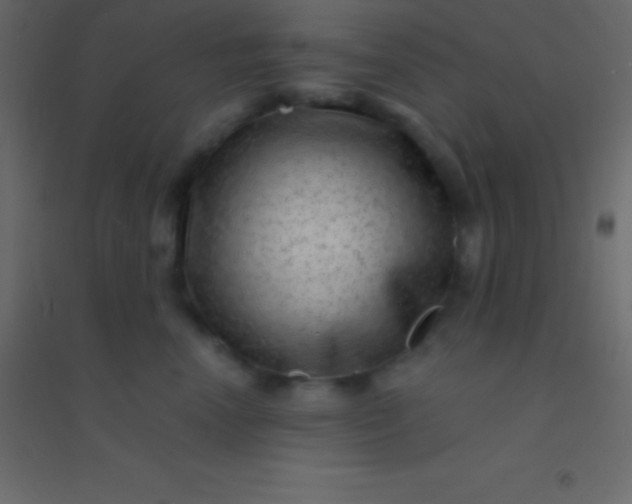 X0000094960666200712131646