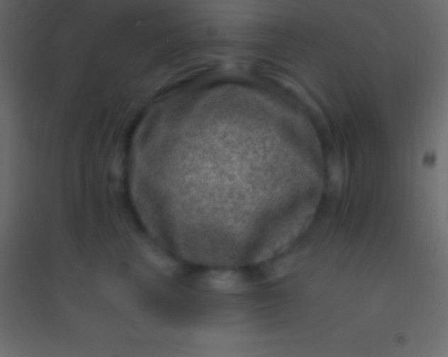 X0000094960667200712131646