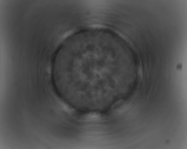 X0000094960668200712131646