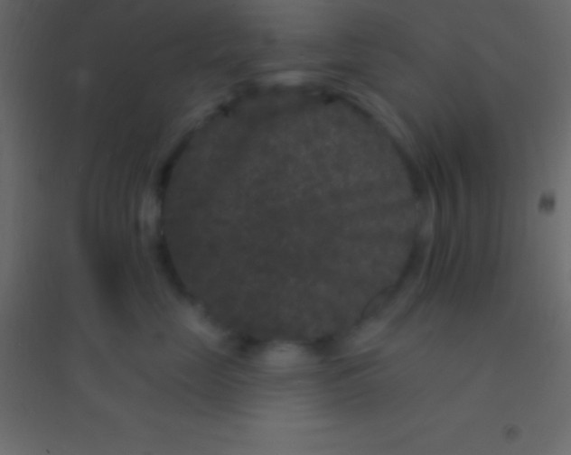 X0000094960669200712131646