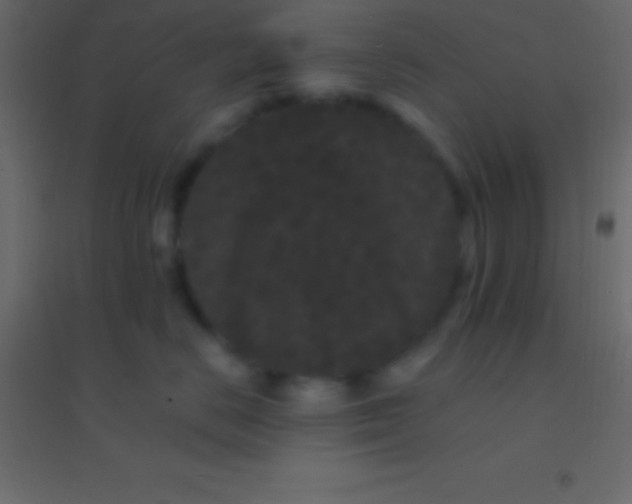 X0000094960670200712131646