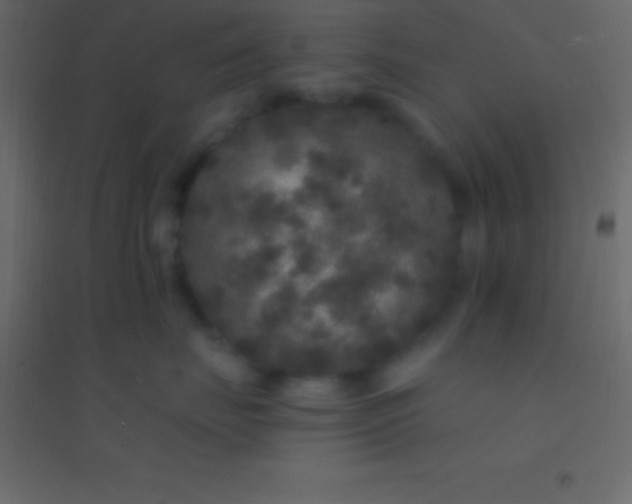 X0000094960671200712131646