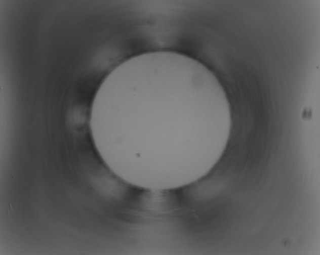 X0000094960672200712131646