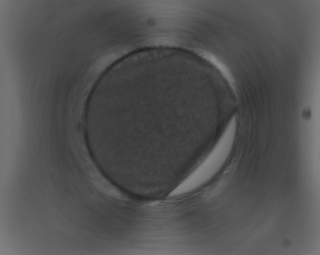 X0000094960673200712131645