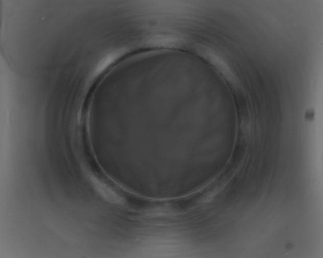 X0000094960674200712131645