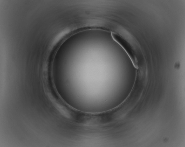 X0000094960676200712131645