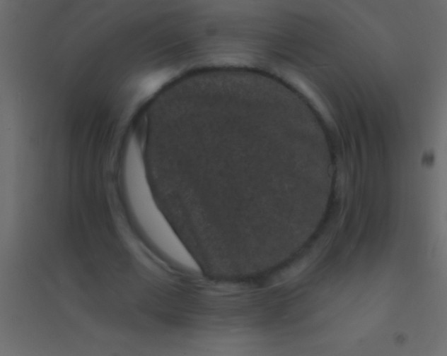 X0000094960677200712131645