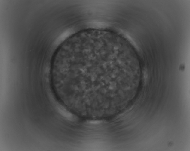 X0000094960679200712131645