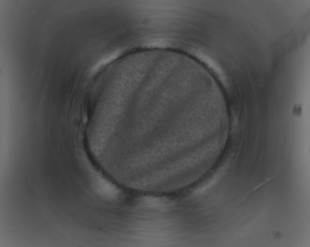 X0000094960681200712131645