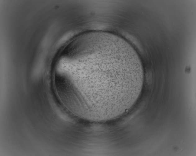 X0000094960682200712131645