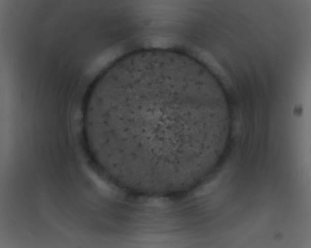 X0000094960683200712131645