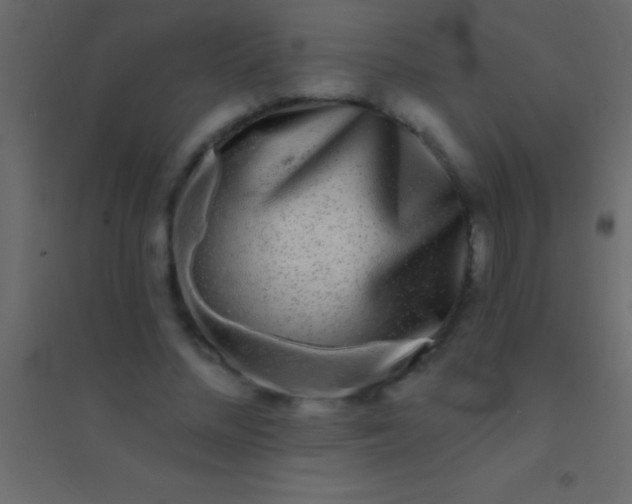 X0000094960684200712131645