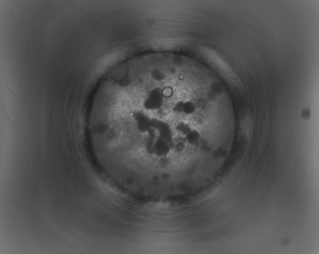 X0000094960687200712131645