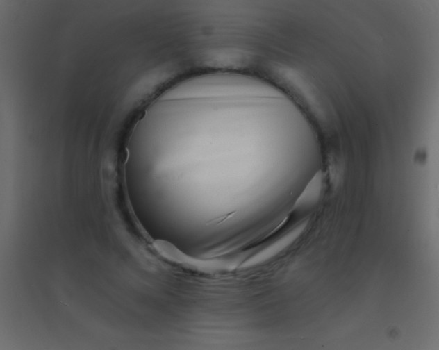 X0000094960688200712131645