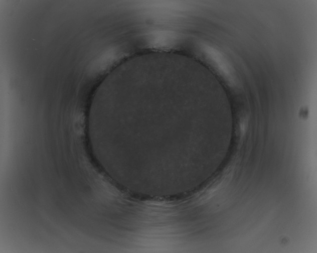 X0000094960689200712131645